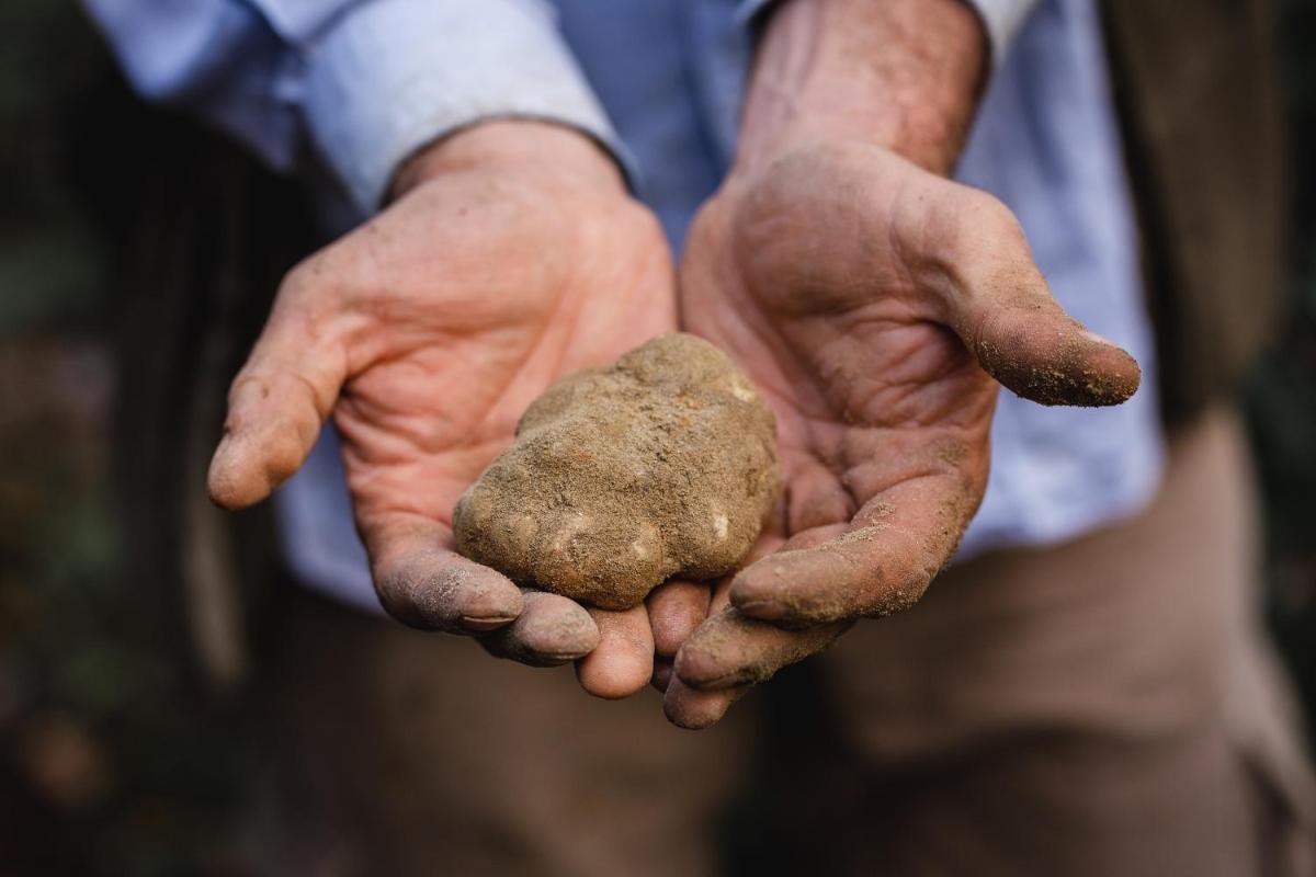 Castiglion del Bosco, A Rosewood Hotel