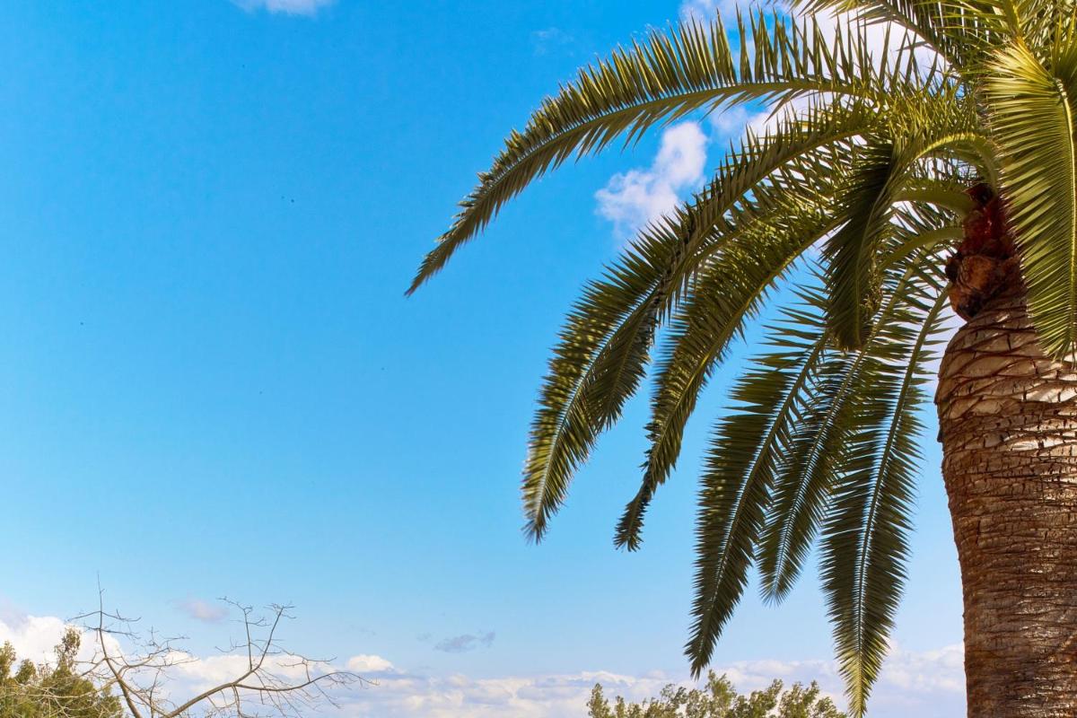 Castillo Hotel Son Vida-Adults Only, a Luxury Collection Hotel, Mallorca