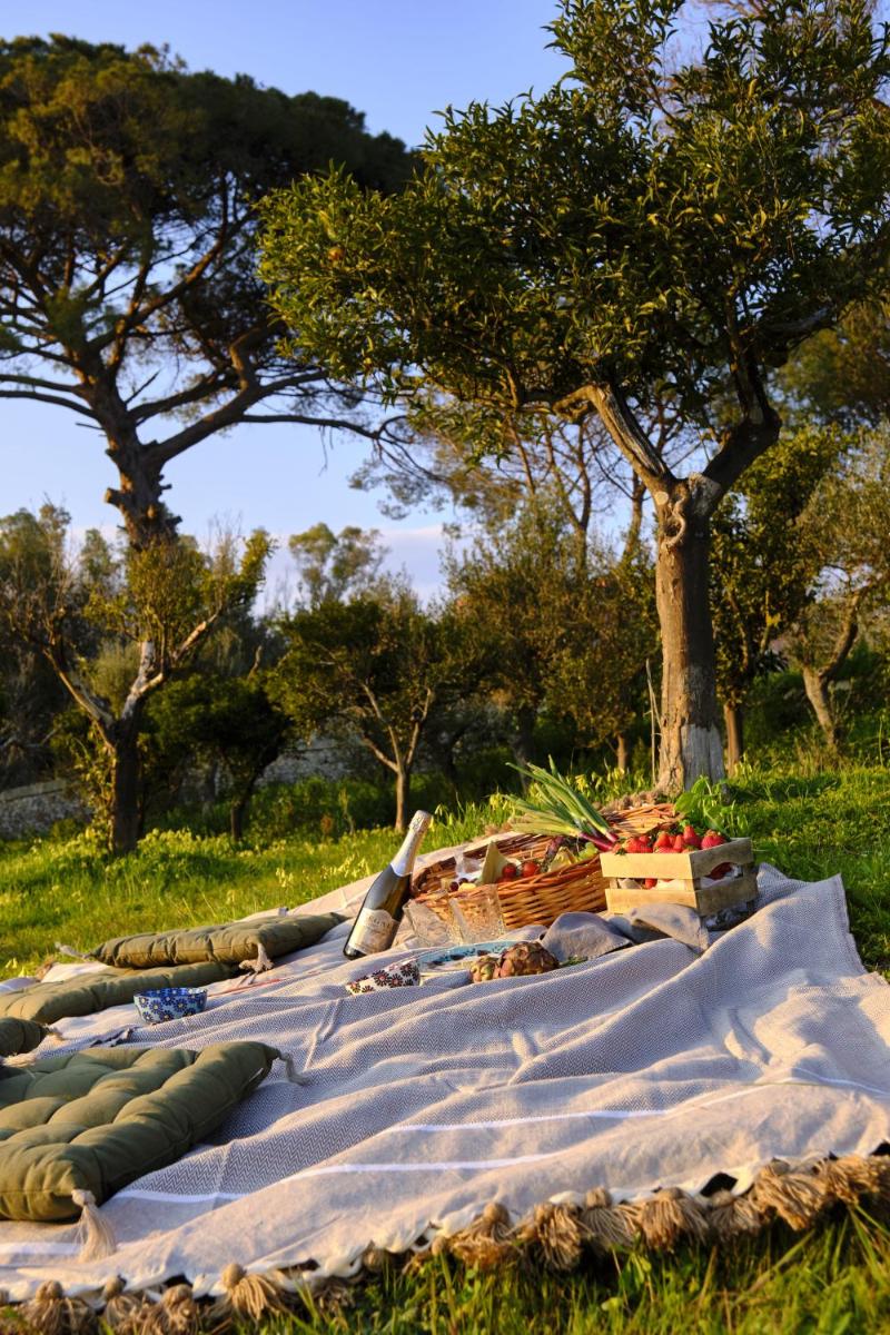 Castle Elvira - The Castle & The Cottage