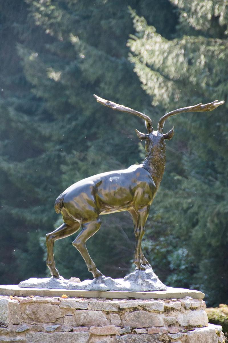 Castle Hotel
