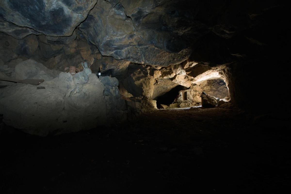 Cave Ox Rooms