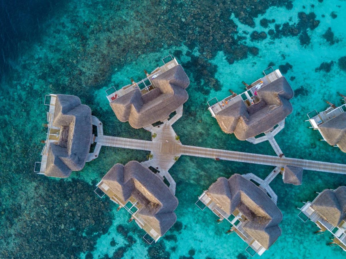 The Centara Collection, Machchafushi Island Resort & Spa Maldives - Stay 4 nights or more, enjoy 25 percent off Seaplane transfers, valid for stays from 10 Apr to Sep 2026