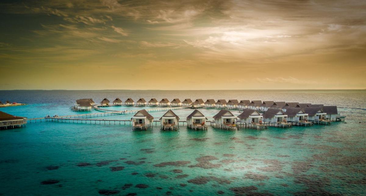 The Centara Collection, Machchafushi Island Resort & Spa Maldives - Stay 4 nights or more, enjoy 25 percent off Seaplane transfers, valid for stays from 10 Apr to Sep 2026