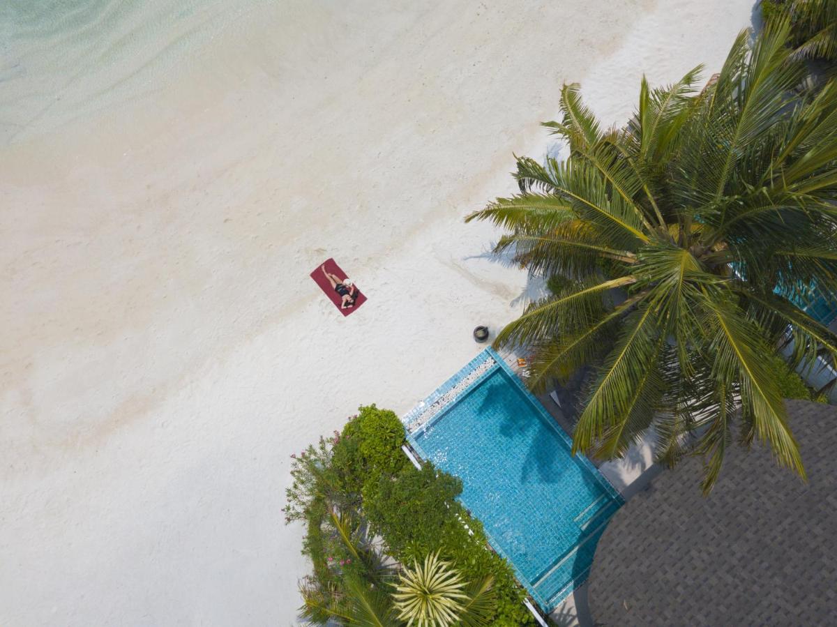 The Centara Collection, Machchafushi Island Resort & Spa Maldives - Stay 4 nights or more, enjoy 25 percent off Seaplane transfers, valid for stays from 10 Apr to Sep 2026