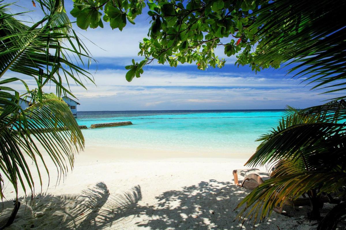 The Centara Collection, Machchafushi Island Resort & Spa Maldives - Stay 4 nights or more, enjoy 25 percent off Seaplane transfers, valid for stays from 10 Apr to Sep 2026