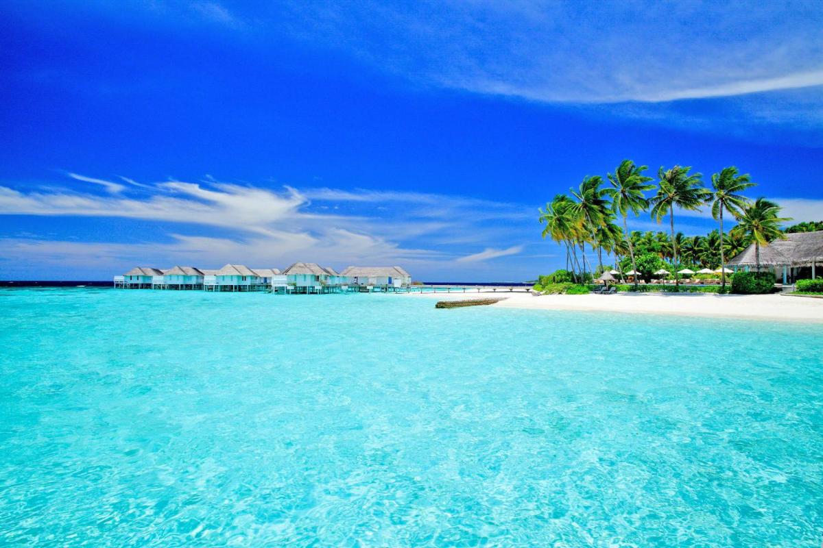 The Centara Collection, Machchafushi Island Resort & Spa Maldives - Stay 4 nights or more, enjoy 25 percent off Seaplane transfers, valid for stays from 10 Apr to Sep 2026