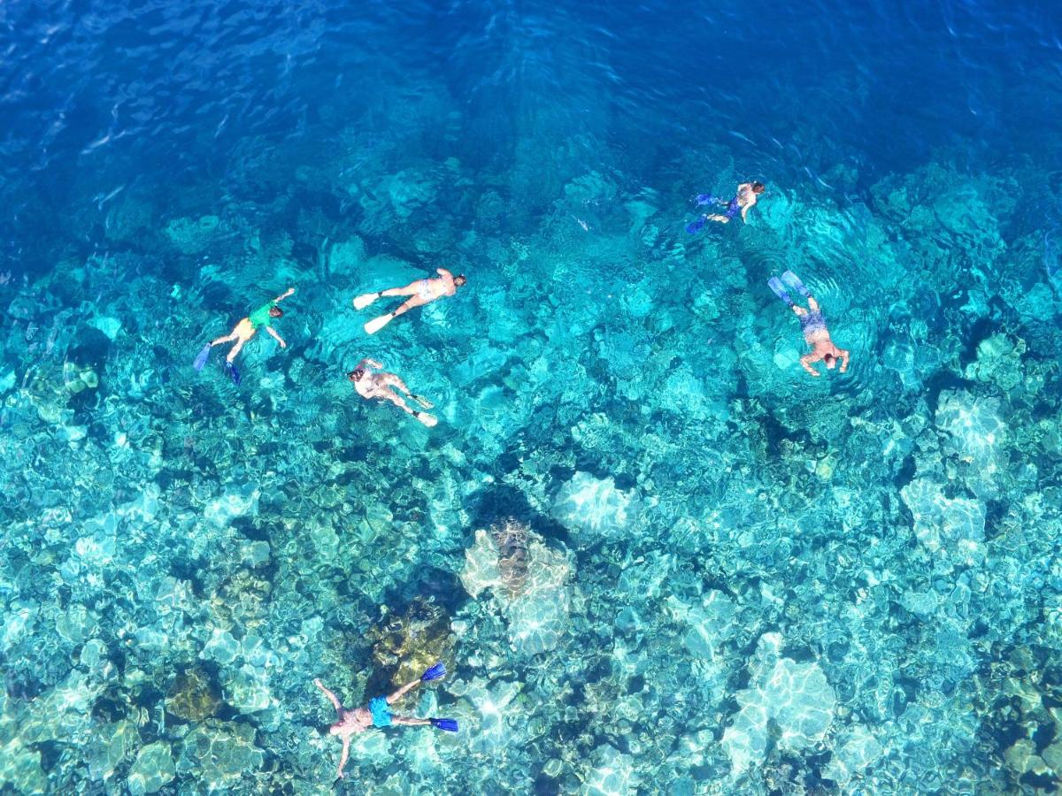 The Centara Collection, Machchafushi Island Resort & Spa Maldives - Stay 4 nights or more, enjoy 25 percent off Seaplane transfers, valid for stays from 10 Apr to Sep 2026