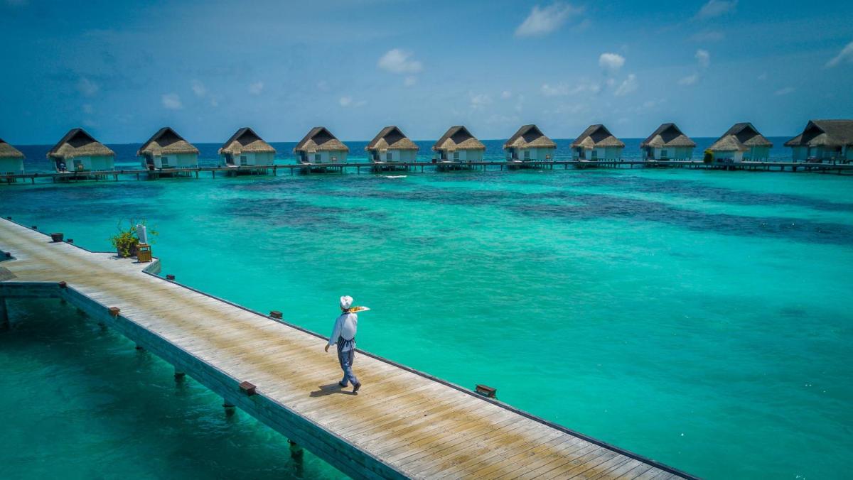 The Centara Collection, Machchafushi Island Resort & Spa Maldives - Stay 4 nights or more, enjoy 25 percent off Seaplane transfers, valid for stays from 10 Apr to Sep 2026
