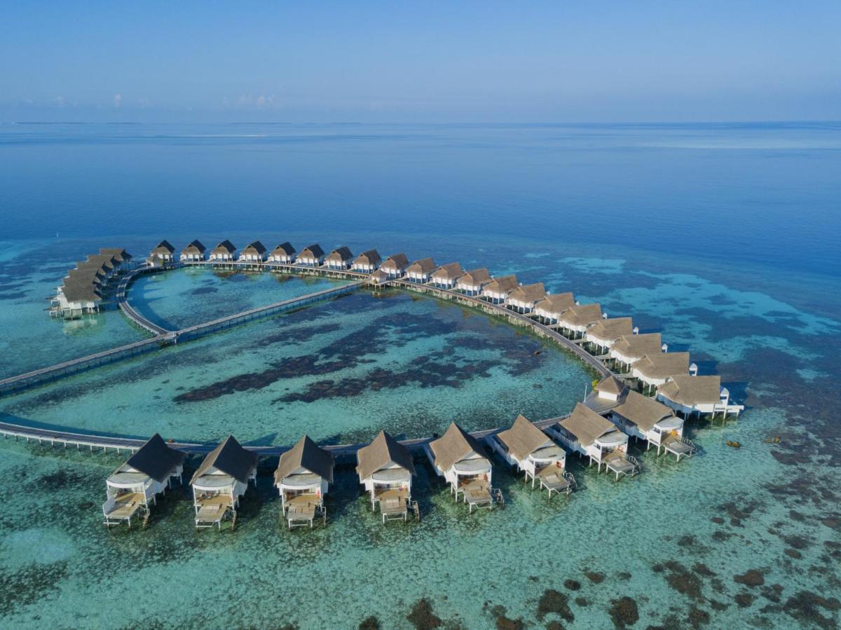 The Centara Collection, Machchafushi Island Resort & Spa Maldives - Stay 4 nights or more, enjoy 25 percent off Seaplane transfers, valid for stays from 10 Apr to Sep 2026