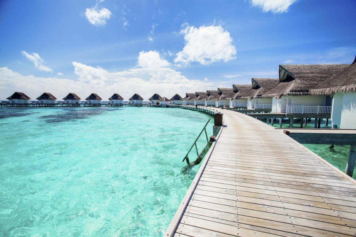 The Centara Collection, Machchafushi Island Resort & Spa Maldives - Stay 4 nights or more, enjoy 25 percent off Seaplane transfers, valid for stays from 10 Apr to Sep 2026
