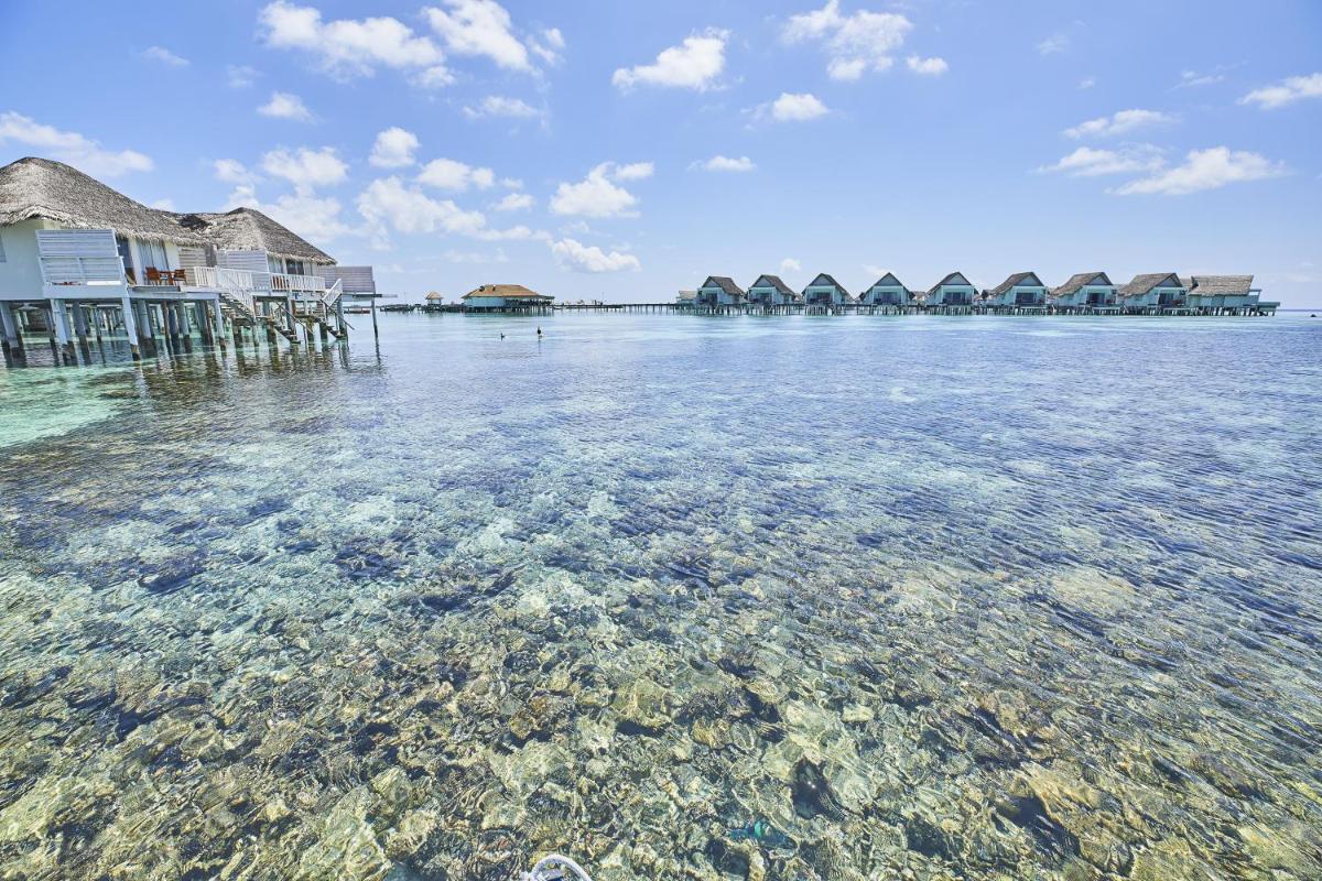 The Centara Collection, Machchafushi Island Resort & Spa Maldives - Stay 4 nights or more, enjoy 25 percent off Seaplane transfers, valid for stays from 10 Apr to Sep 2026