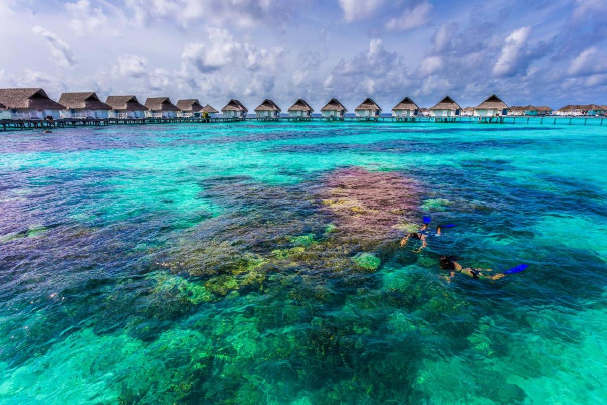 The Centara Collection, Machchafushi Island Resort & Spa Maldives - Stay 4 nights or more, enjoy 25 percent off Seaplane transfers, valid for stays from 10 Apr to Sep 2026
