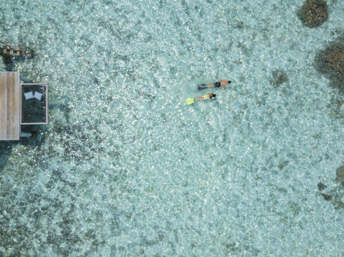 The Centara Collection, Machchafushi Island Resort & Spa Maldives - Stay 4 nights or more, enjoy 25 percent off Seaplane transfers, valid for stays from 10 Apr to Sep 2026