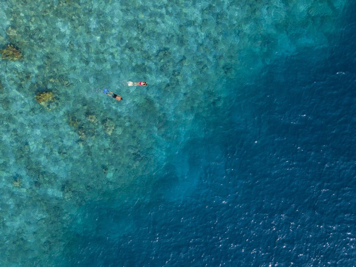 The Centara Collection, Machchafushi Island Resort & Spa Maldives - Stay 4 nights or more, enjoy 25 percent off Seaplane transfers, valid for stays from 10 Apr to Sep 2026