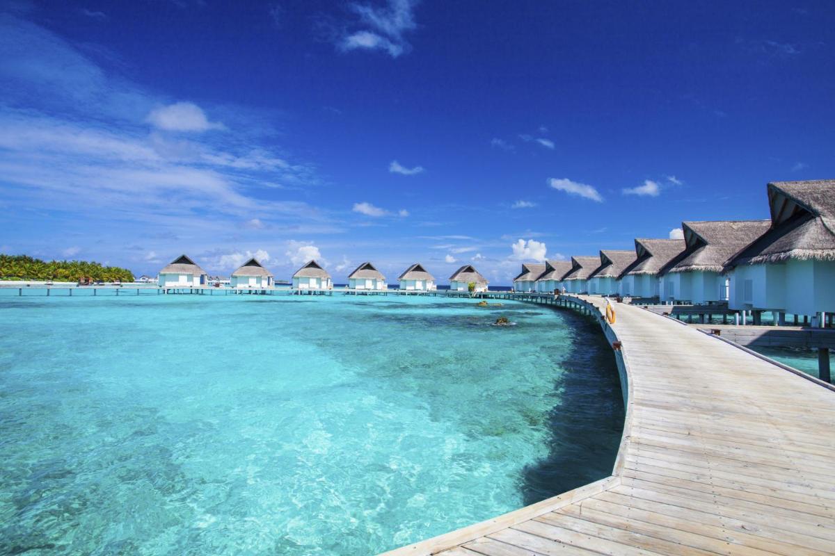 The Centara Collection, Machchafushi Island Resort & Spa Maldives - Stay 4 nights or more, enjoy 25 percent off Seaplane transfers, valid for stays from 10 Apr to Sep 2026