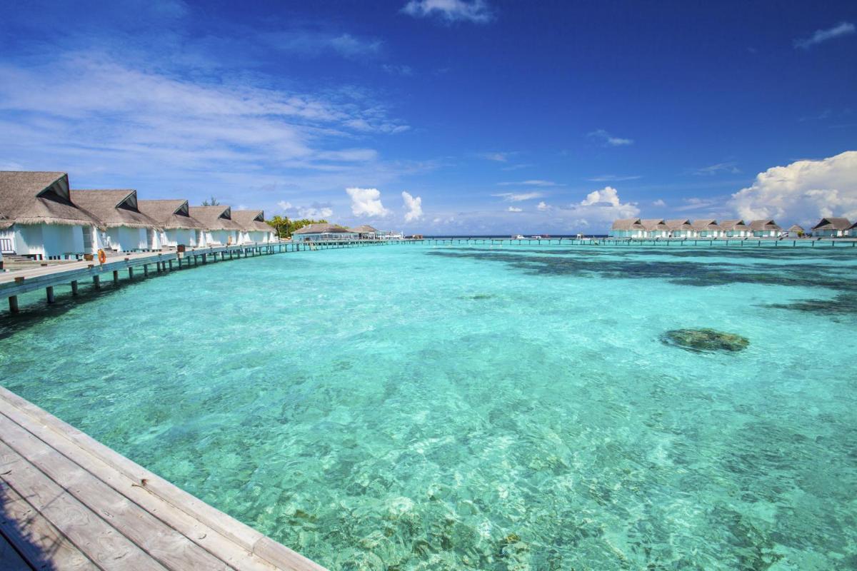 The Centara Collection, Machchafushi Island Resort & Spa Maldives - Stay 4 nights or more, enjoy 25 percent off Seaplane transfers, valid for stays from 10 Apr to Sep 2026