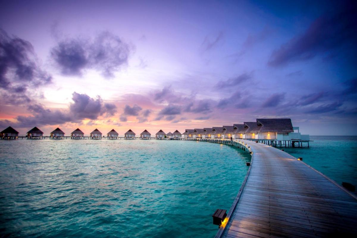 The Centara Collection, Machchafushi Island Resort & Spa Maldives - Stay 4 nights or more, enjoy 25 percent off Seaplane transfers, valid for stays from 10 Apr to Sep 2026
