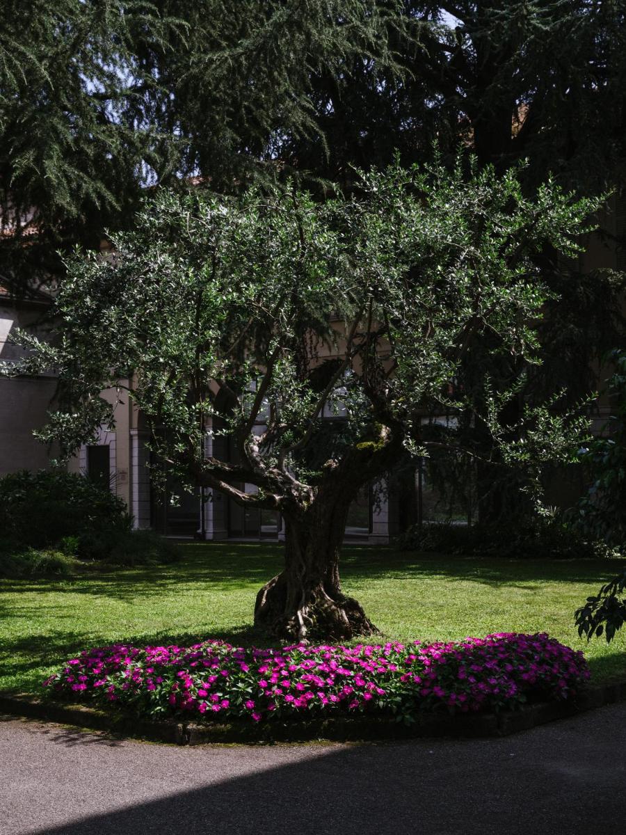 Centro Paolo VI
