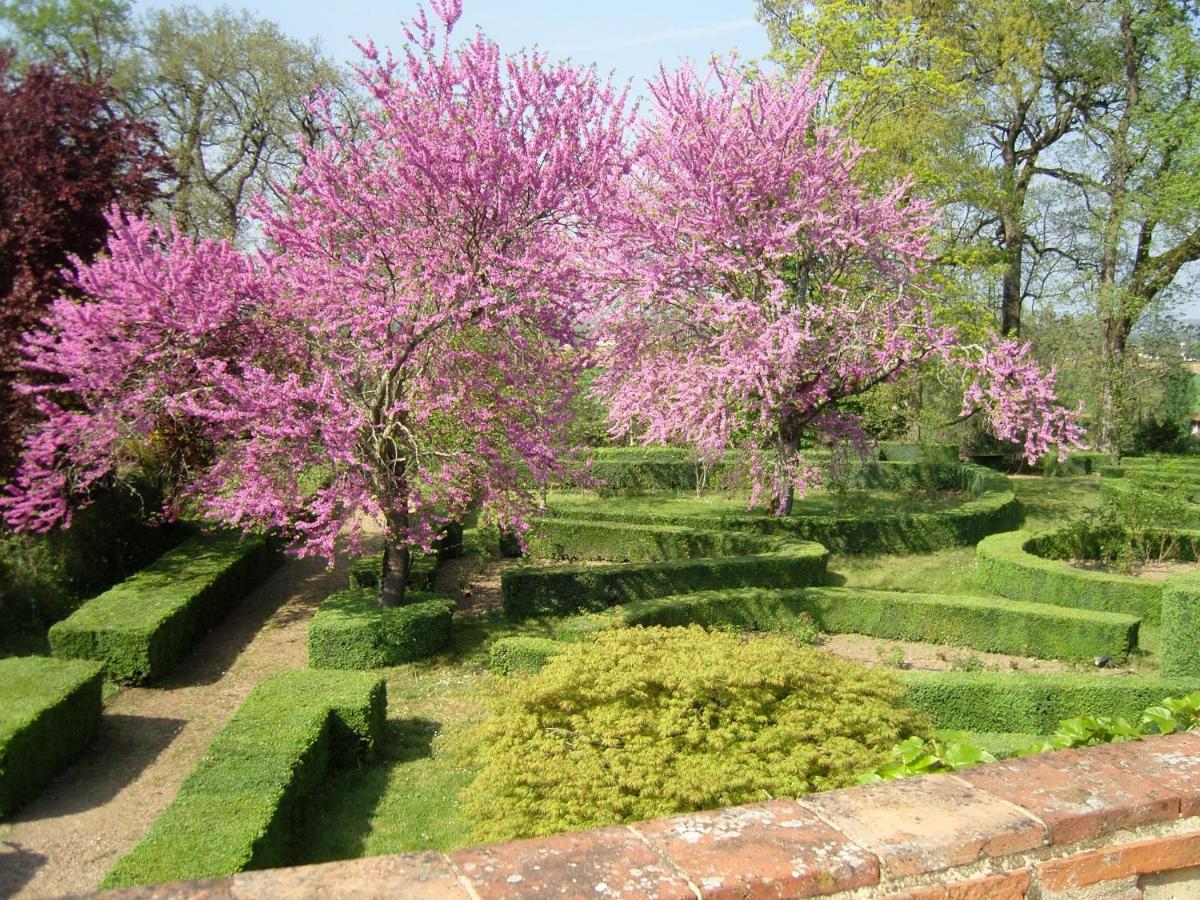 Chambres d’Hôtes Château Touny les Roses