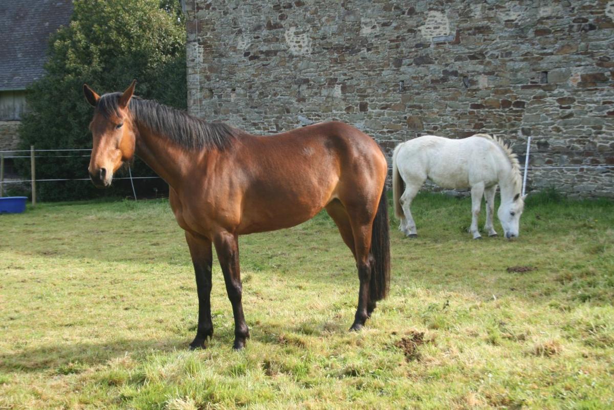 Chateau de Canisy