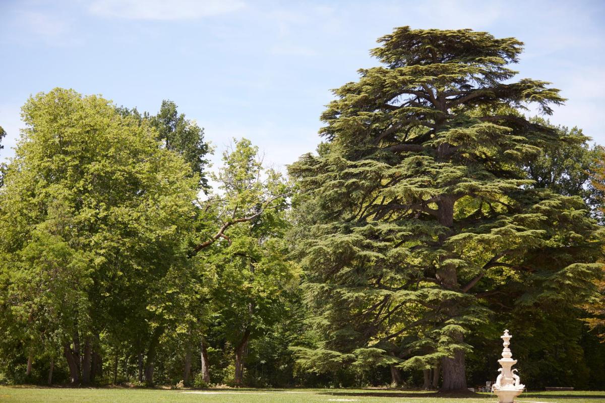 Château de Fonscolombe - Relais & Châteaux