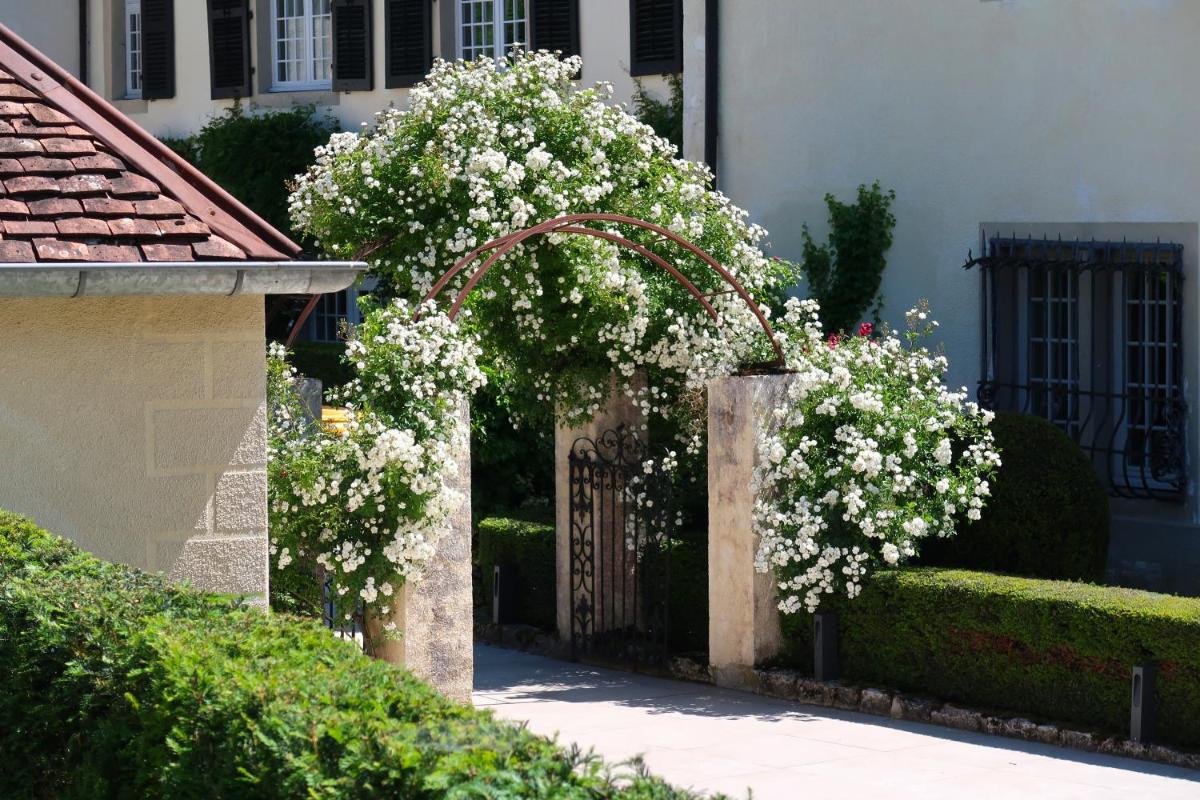 Chateau De Germigney