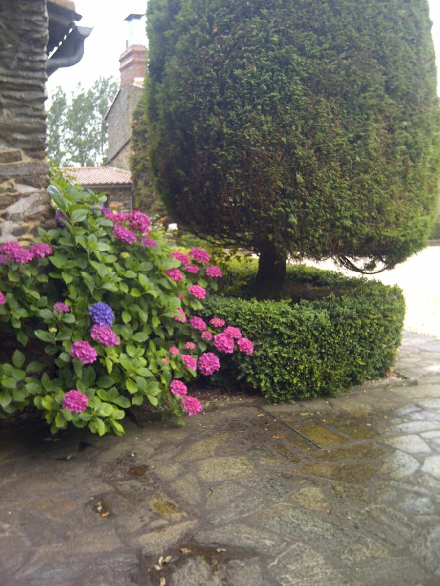 Château De La Colaissière