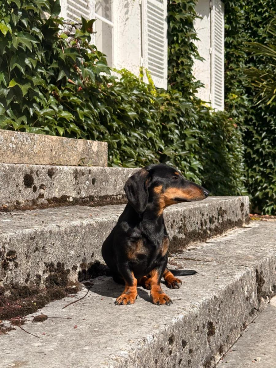 Chateau De La Resle - Design Hotels