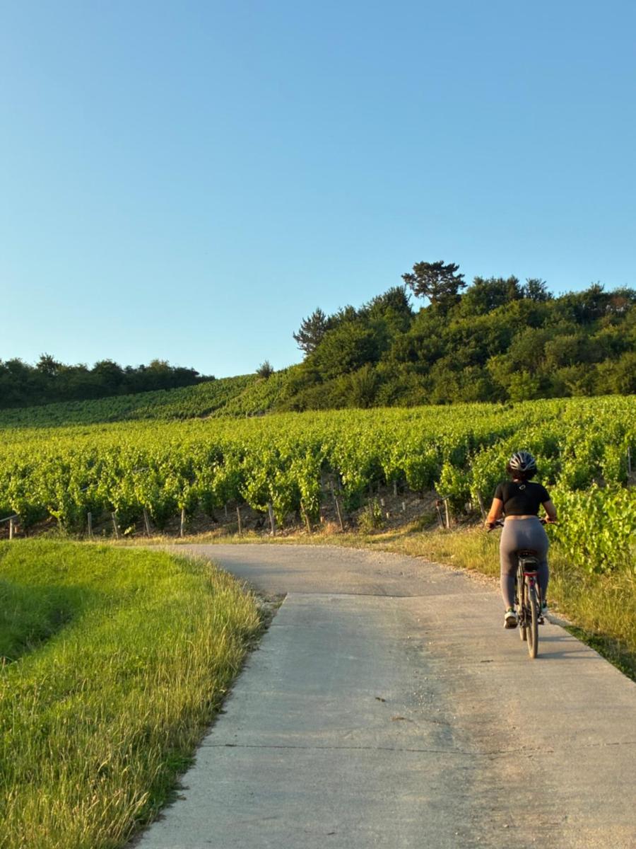 Chateau De La Resle - Design Hotels