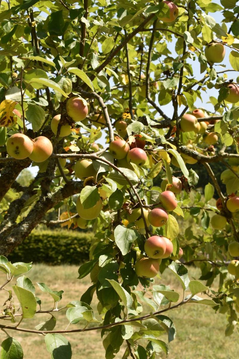 Chateau De La Resle - Design Hotels