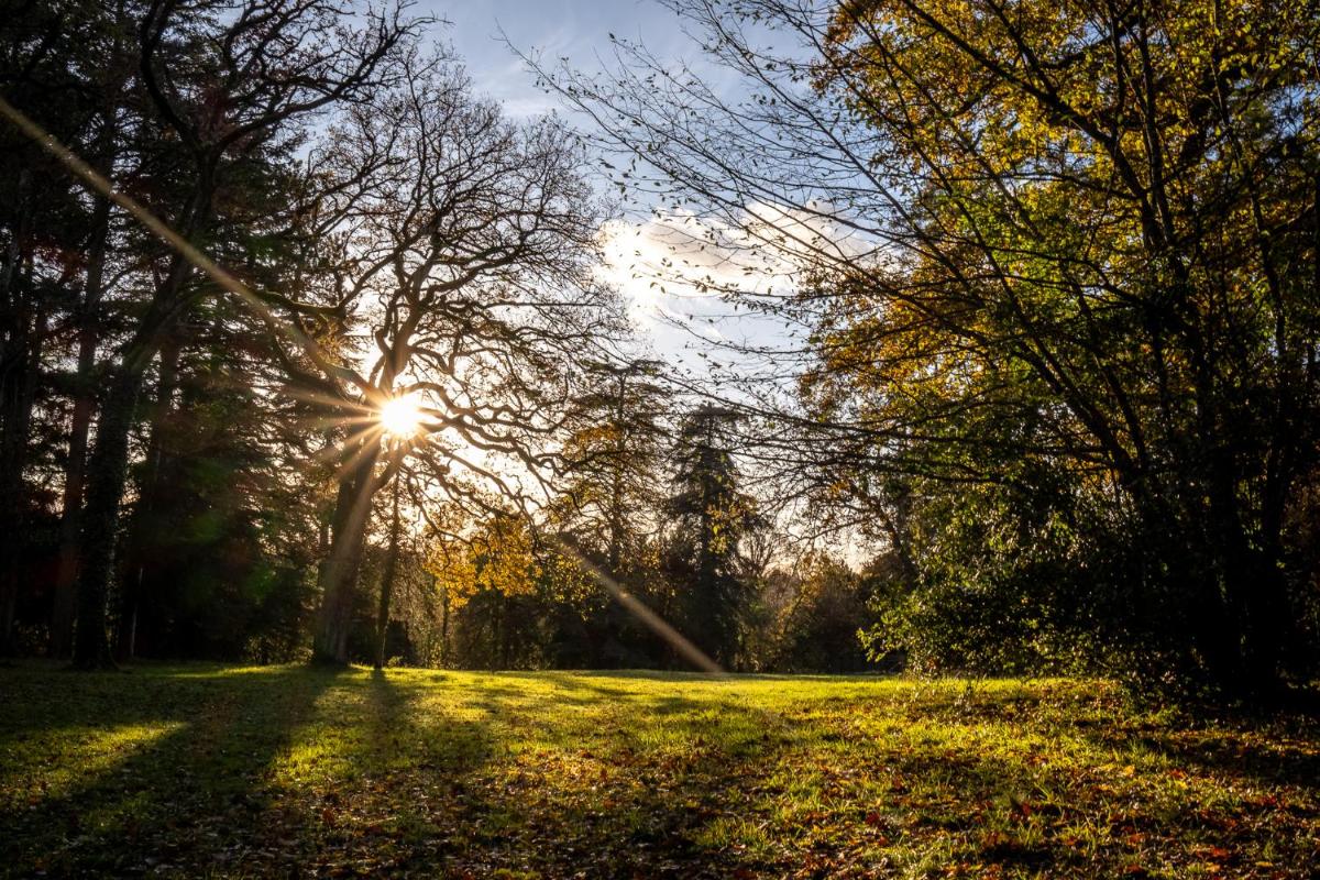 Château De L'aubrière - Teritoria