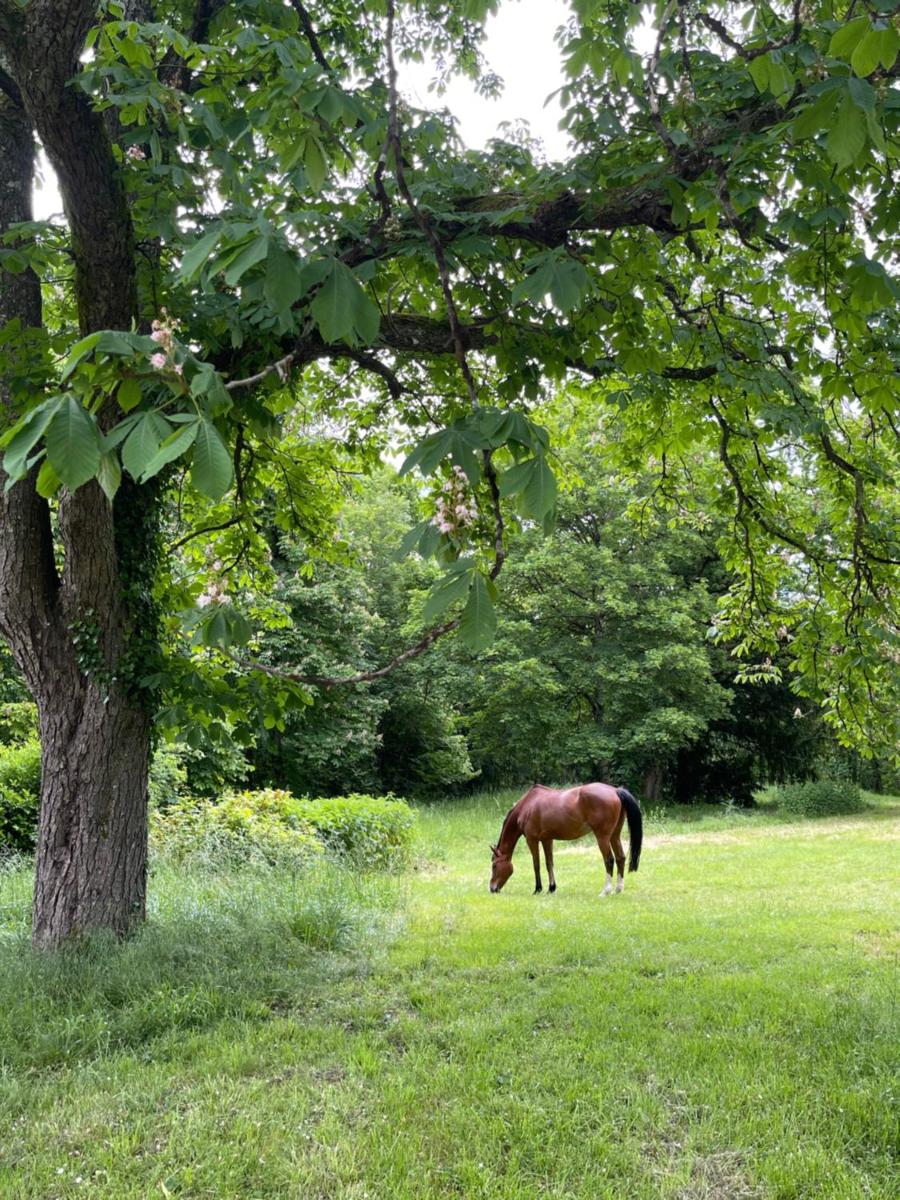 Château De L'aubrière - Teritoria