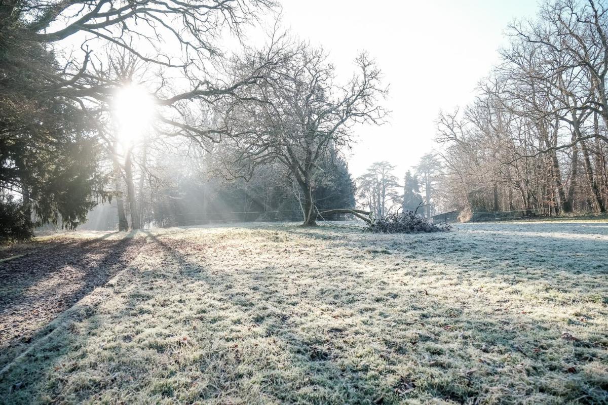 Château De L'aubrière - Teritoria