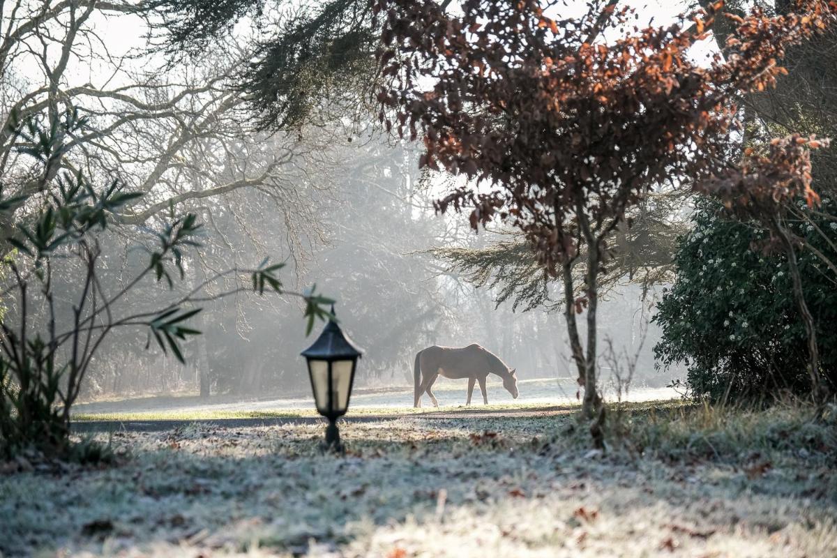 Château De L'aubrière - Teritoria