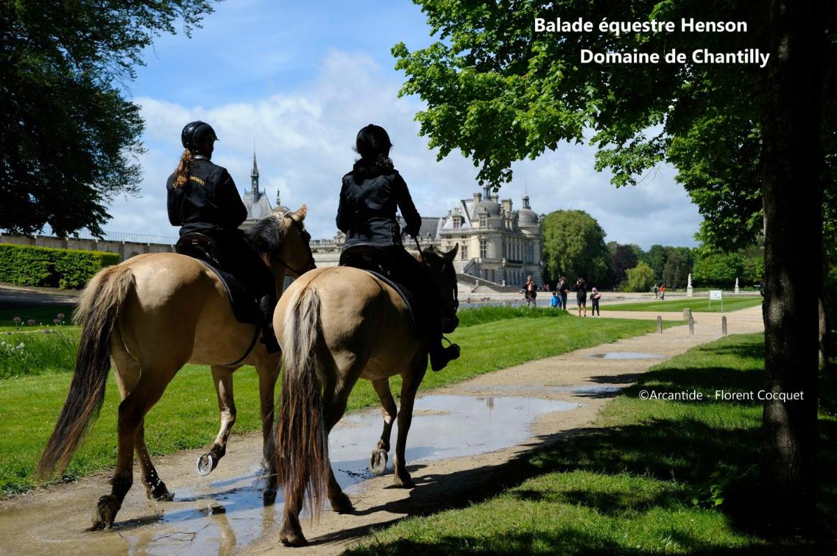 Château Jeanne & The Forest - Château de Montvillargenne