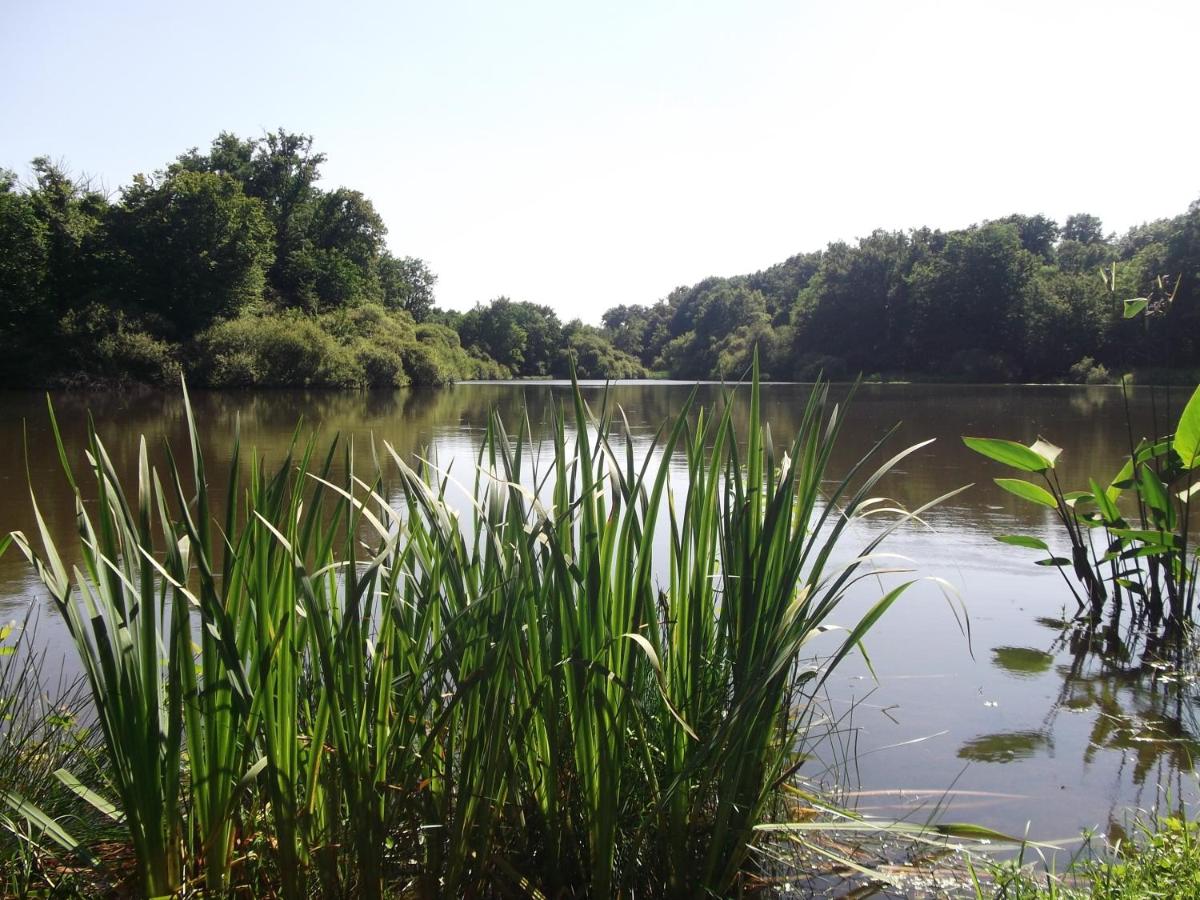 Château-Hôtel de Nieuil
