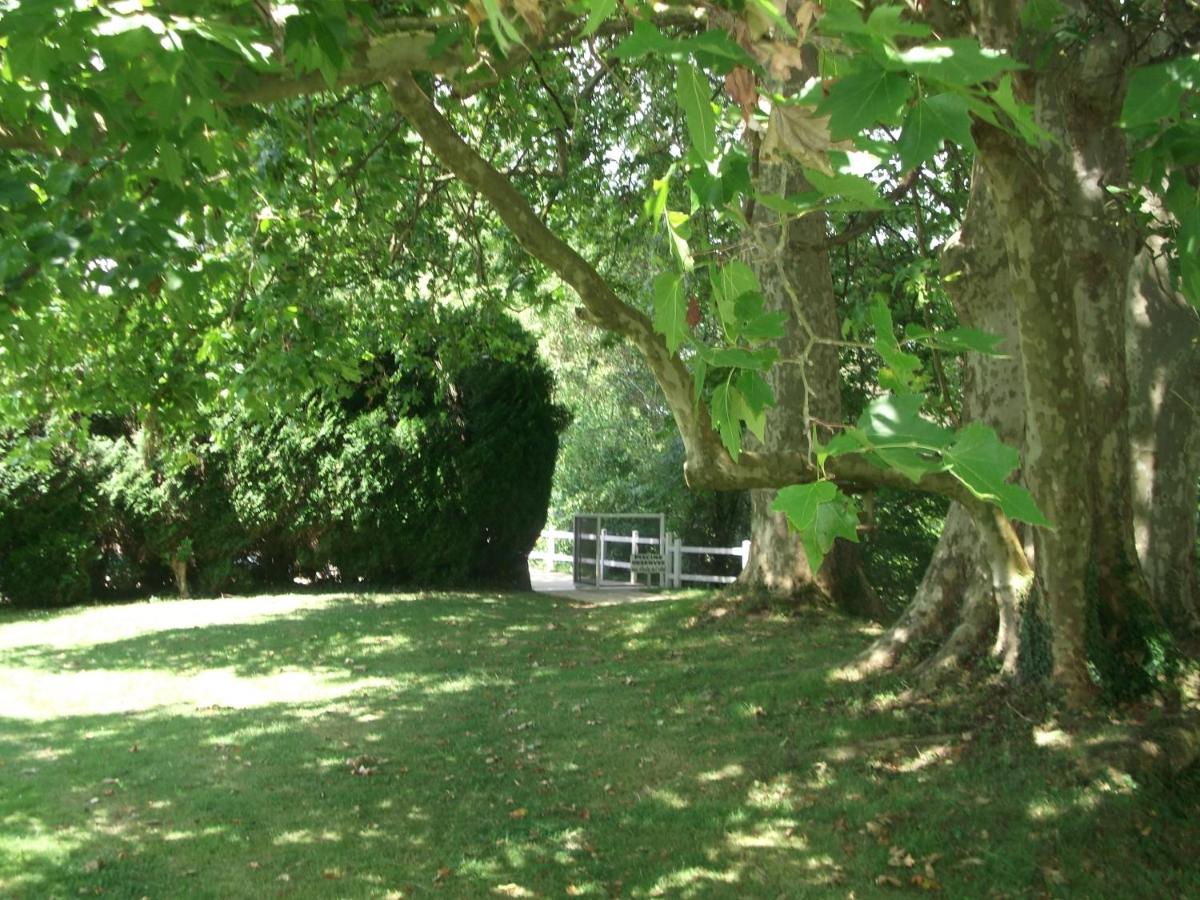 Château-Hôtel de Nieuil