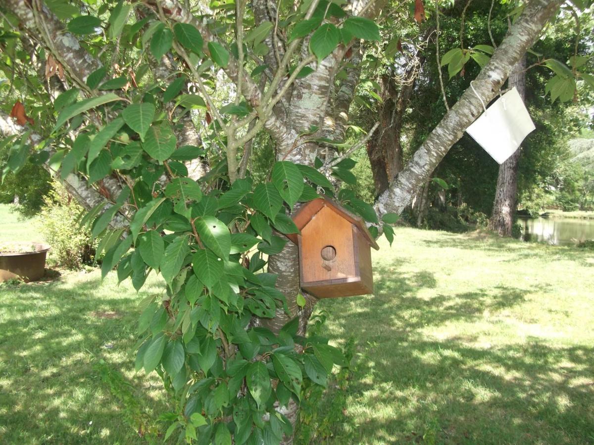 Château-Hôtel de Nieuil