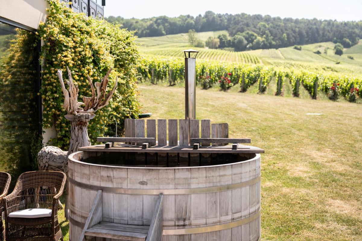 Chateau de Sacy