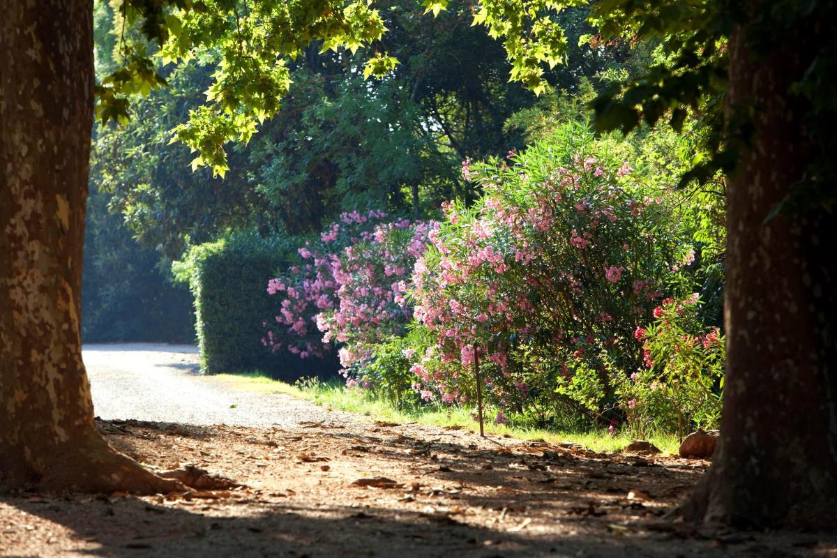 Chateau de Saint Martin
