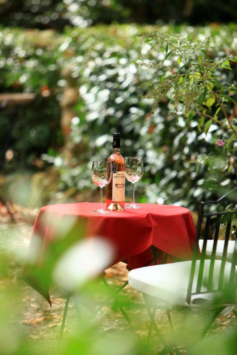 Chateau de Saint Martin