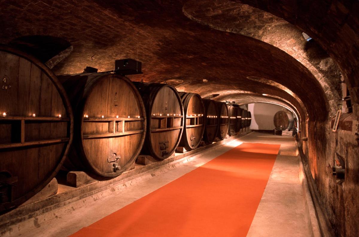 Chateau de Saint Martin
