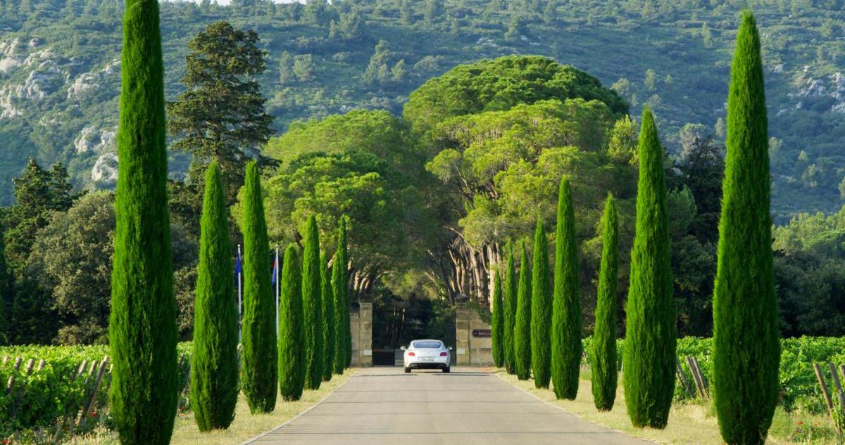 Château d'Estoublon