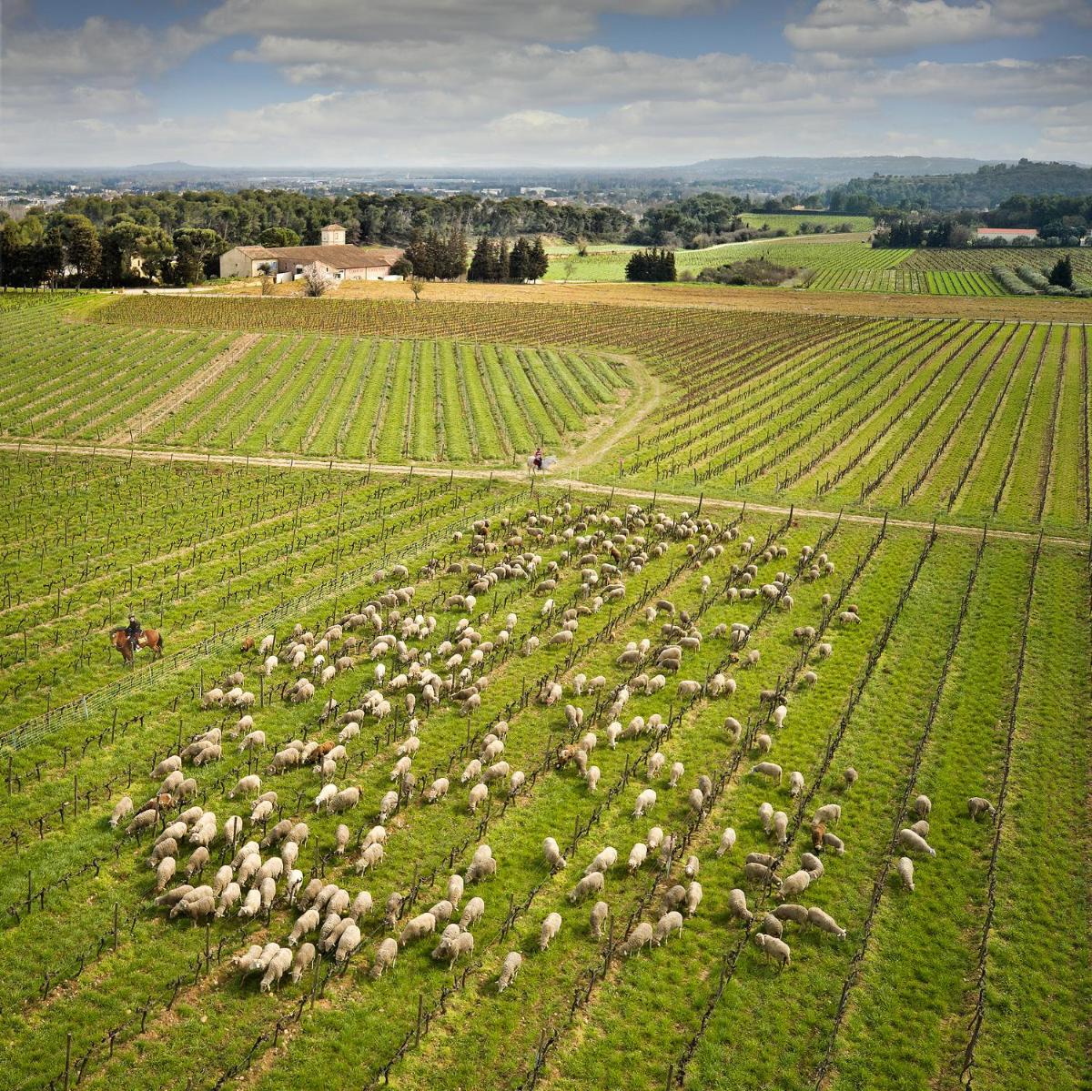 Chambre d'hôtes Château Gigognan