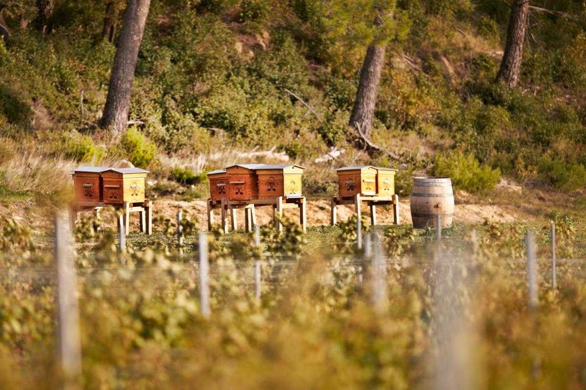 Chambre d'hôtes Château Gigognan