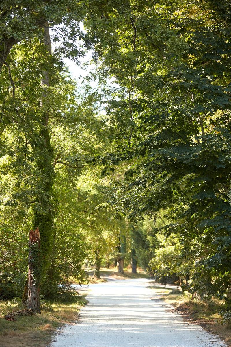 Château Léognan, Domaine viticole - proche Bordeaux