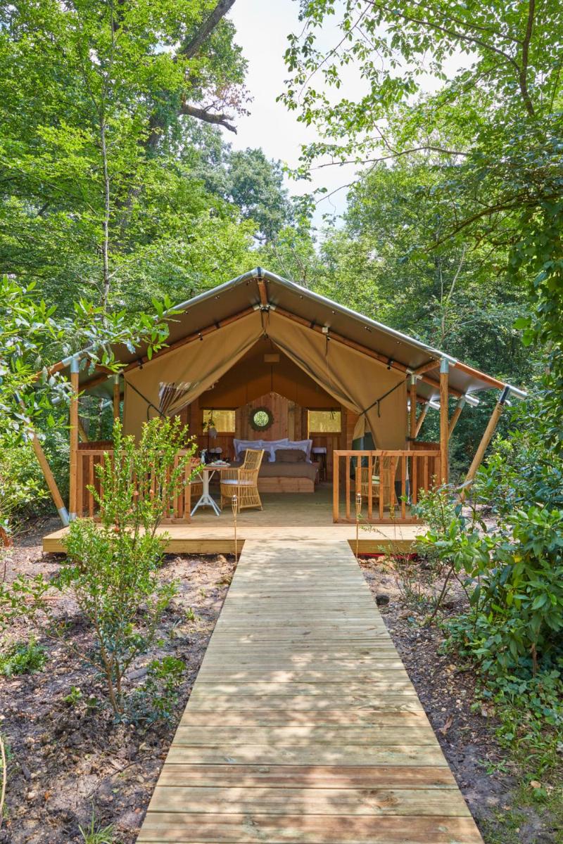 Château Léognan, Domaine viticole - proche Bordeaux