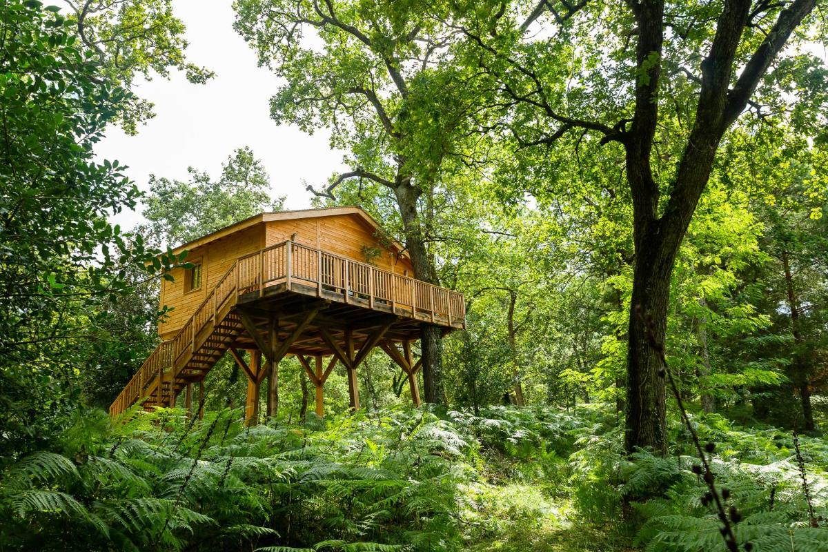 Château Léognan, Domaine viticole - proche Bordeaux