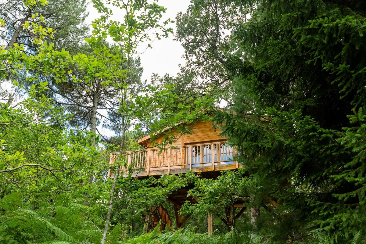 Château Léognan, Domaine viticole - proche Bordeaux