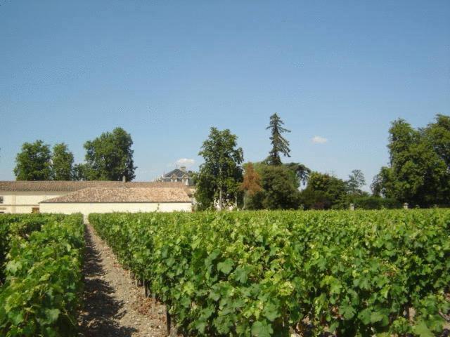 Chateau Pomys